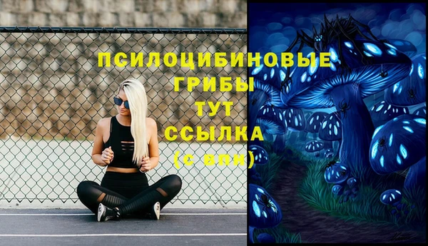 ALPHA PVP Алексин