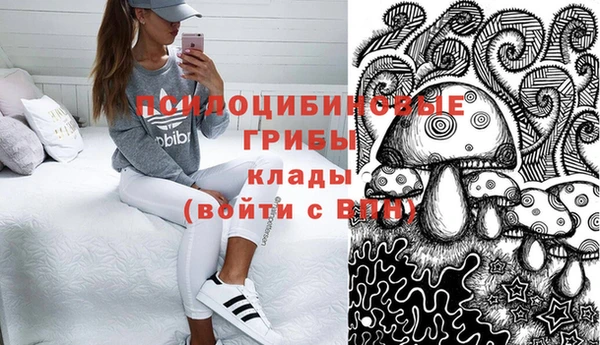 ALPHA PVP Алексин