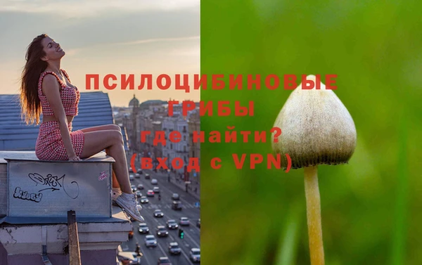 ALPHA PVP Алексин