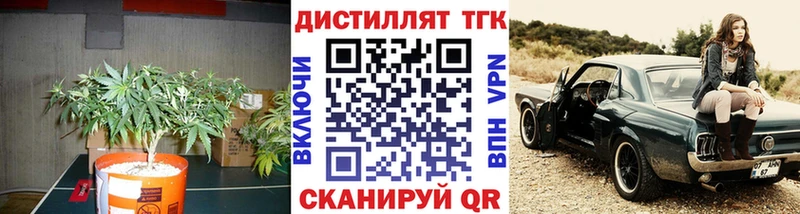 где купить   Томмот  Дистиллят ТГК концентрат 