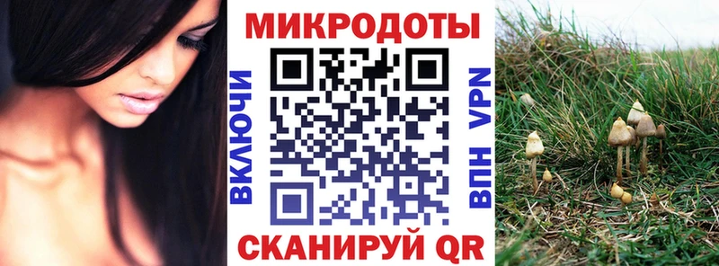 Псилоцибиновые грибы Psilocybine cubensis Томмот